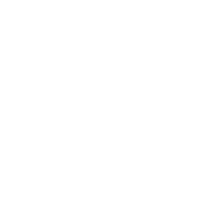 sergio-cubino-logo